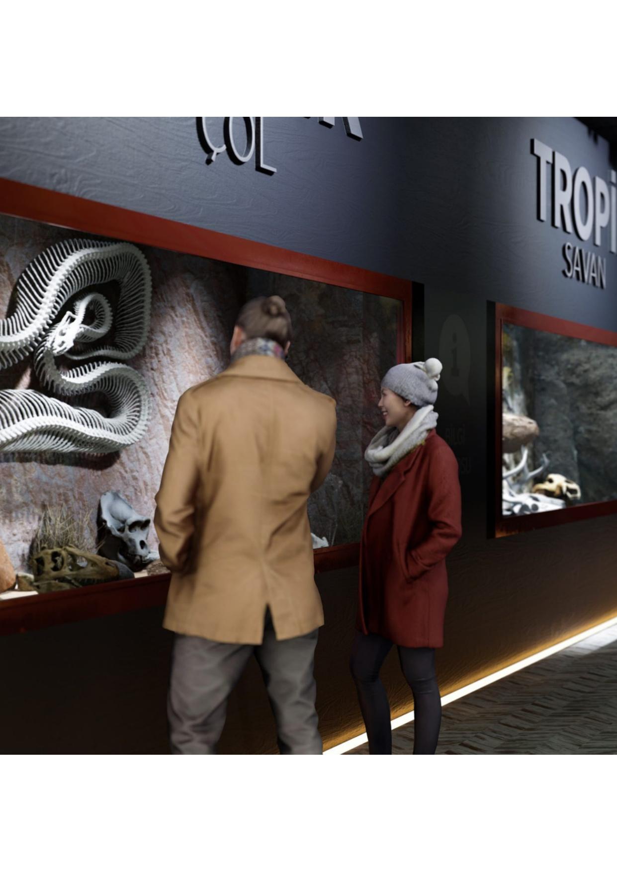İskelet Müzesi: Beden Yapısı ve Habitat İlişkisi Savan ve tropik habitat sergileme vitrinleri