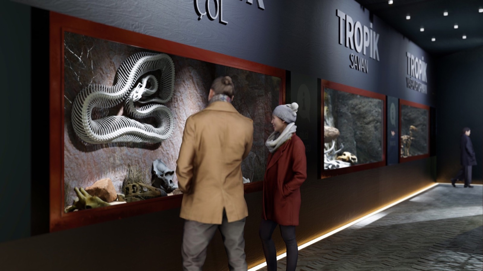 İskelet Müzesi: Beden Yapısı ve Habitat İlişkisi İskelet Müzesi — görsel 1