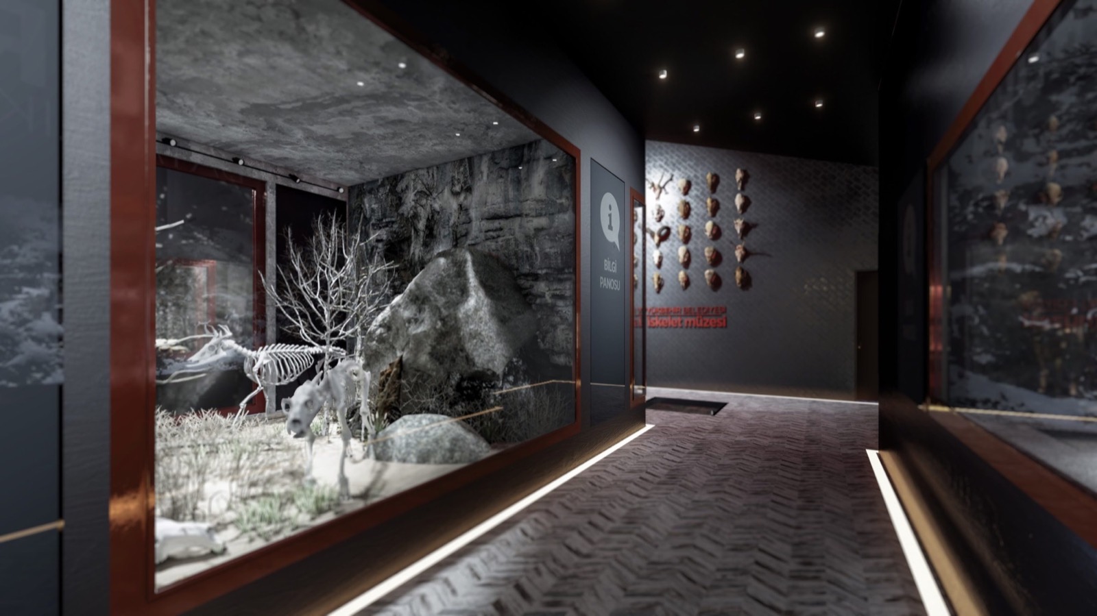 İskelet Müzesi: Beden Yapısı ve Habitat İlişkisi İskelet Müzesi — görsel 3